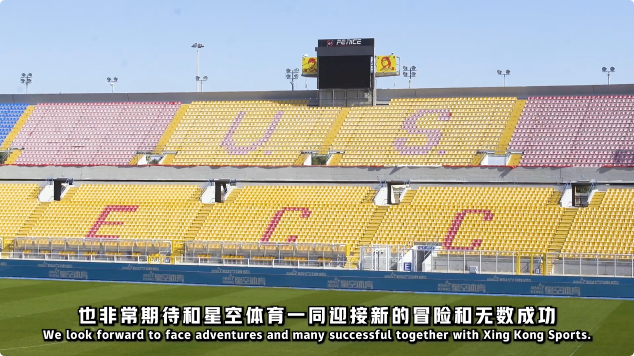 双表现 双表现